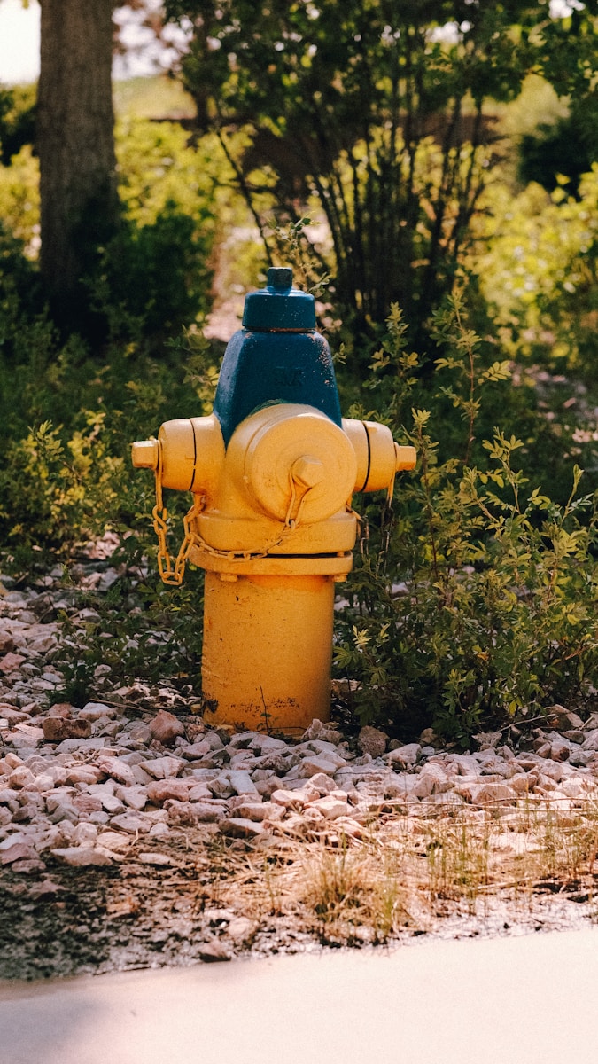 Fire hydrant and hose reel setup installed on a Newtown site